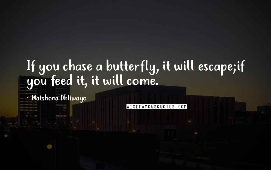 Matshona Dhliwayo Quotes: If you chase a butterfly, it will escape;if you feed it, it will come.