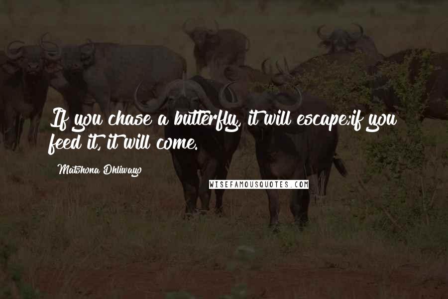 Matshona Dhliwayo Quotes: If you chase a butterfly, it will escape;if you feed it, it will come.