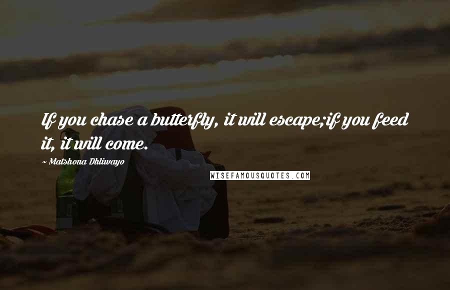 Matshona Dhliwayo Quotes: If you chase a butterfly, it will escape;if you feed it, it will come.