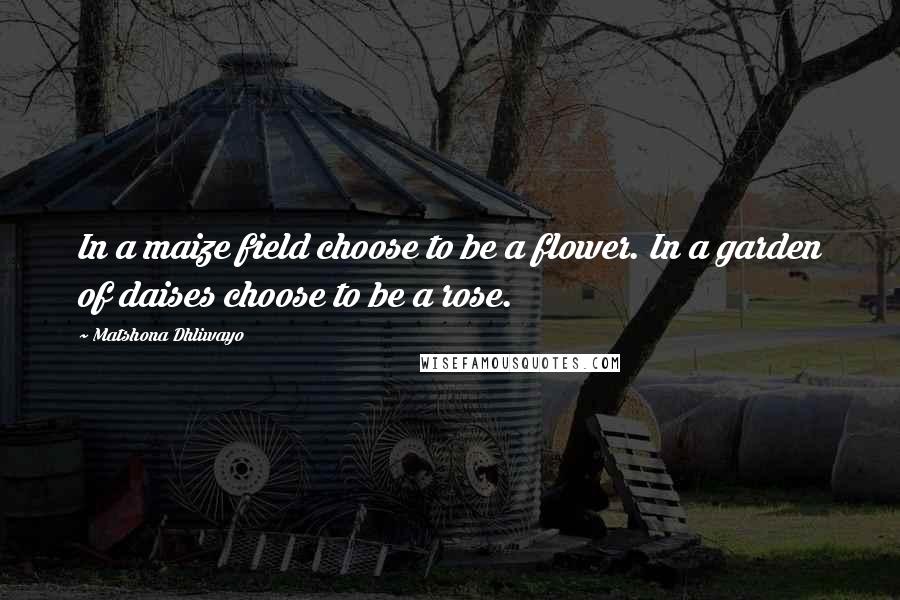 Matshona Dhliwayo Quotes: In a maize field choose to be a flower. In a garden of daises choose to be a rose.