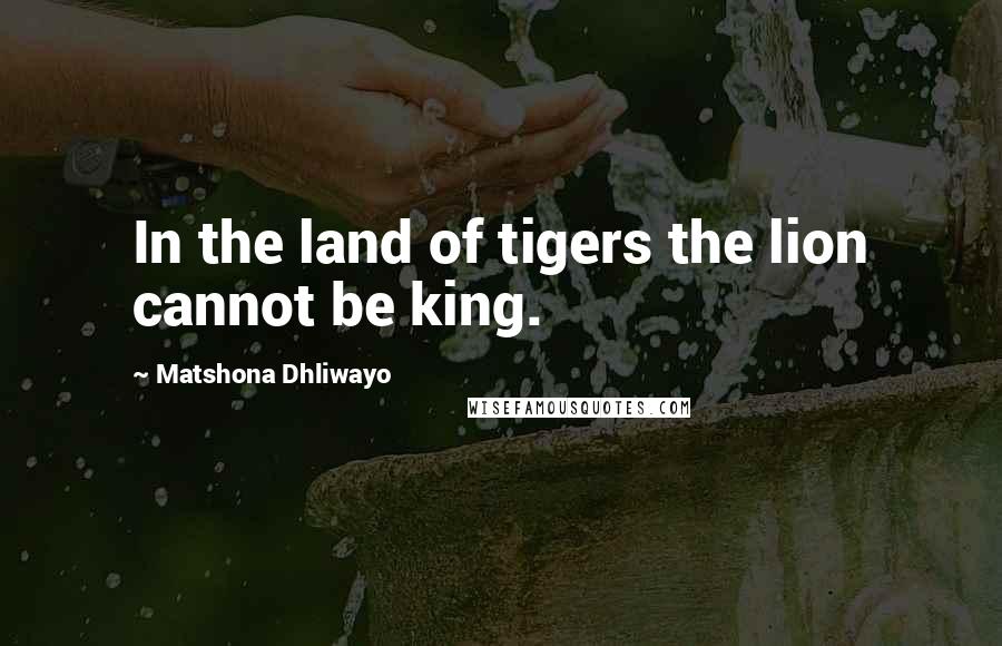 Matshona Dhliwayo Quotes: In the land of tigers the lion cannot be king.