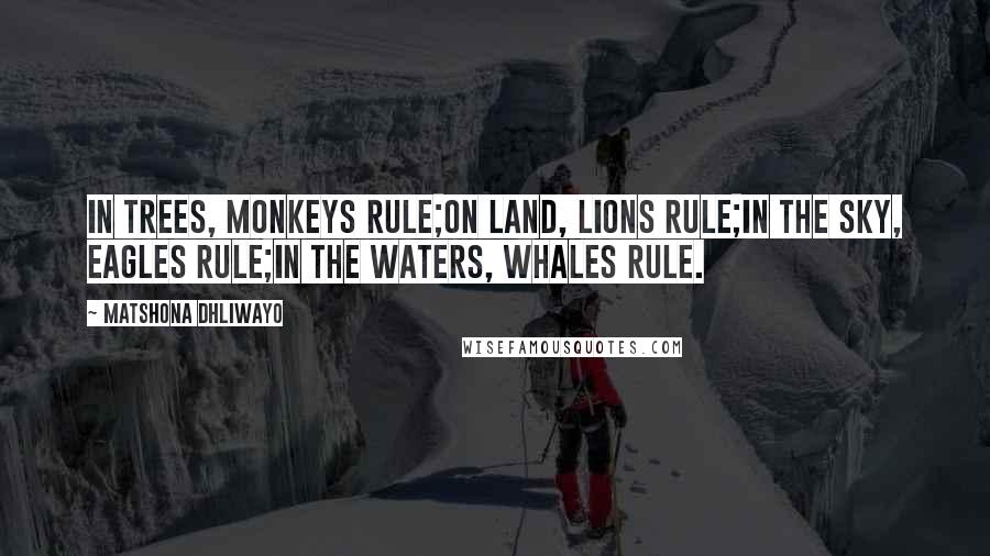 Matshona Dhliwayo Quotes: In trees, monkeys rule;on land, lions rule;in the sky, eagles rule;in the waters, whales rule.