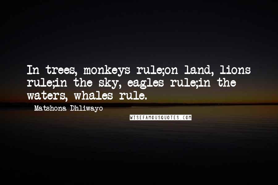 Matshona Dhliwayo Quotes: In trees, monkeys rule;on land, lions rule;in the sky, eagles rule;in the waters, whales rule.