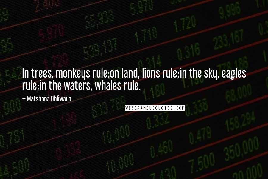 Matshona Dhliwayo Quotes: In trees, monkeys rule;on land, lions rule;in the sky, eagles rule;in the waters, whales rule.