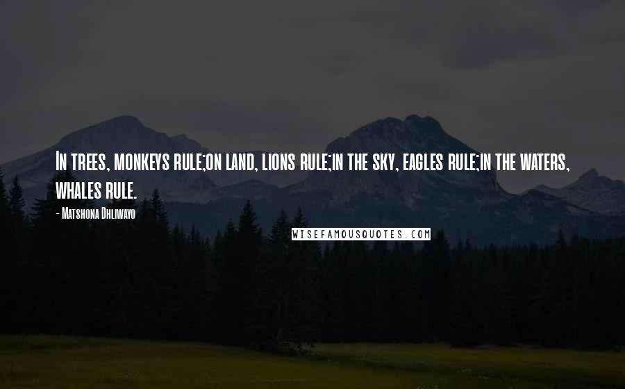 Matshona Dhliwayo Quotes: In trees, monkeys rule;on land, lions rule;in the sky, eagles rule;in the waters, whales rule.