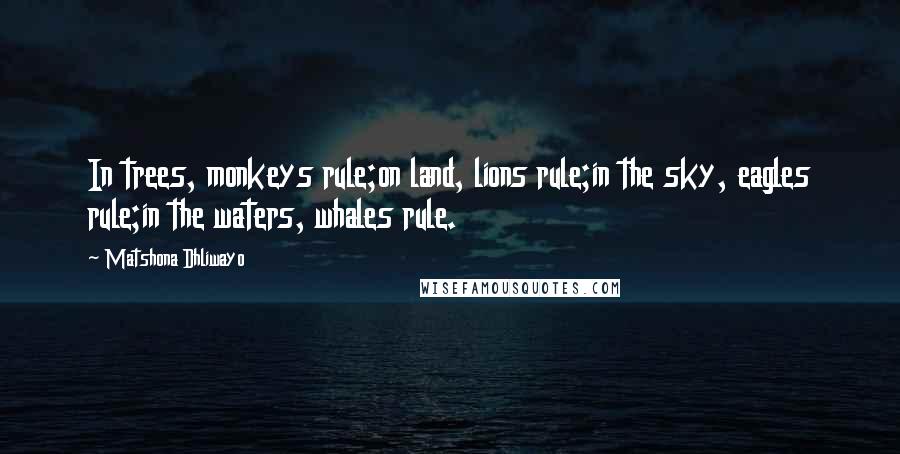 Matshona Dhliwayo Quotes: In trees, monkeys rule;on land, lions rule;in the sky, eagles rule;in the waters, whales rule.