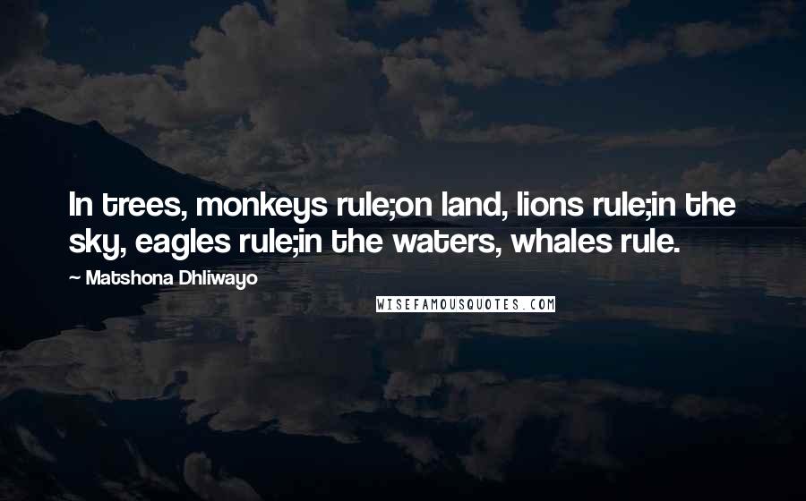 Matshona Dhliwayo Quotes: In trees, monkeys rule;on land, lions rule;in the sky, eagles rule;in the waters, whales rule.