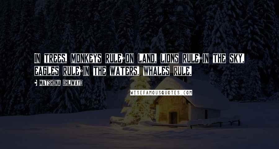 Matshona Dhliwayo Quotes: In trees, monkeys rule;on land, lions rule;in the sky, eagles rule;in the waters, whales rule.