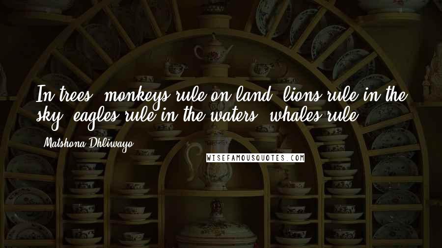 Matshona Dhliwayo Quotes: In trees, monkeys rule;on land, lions rule;in the sky, eagles rule;in the waters, whales rule.