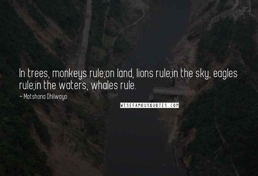 Matshona Dhliwayo Quotes: In trees, monkeys rule;on land, lions rule;in the sky, eagles rule;in the waters, whales rule.