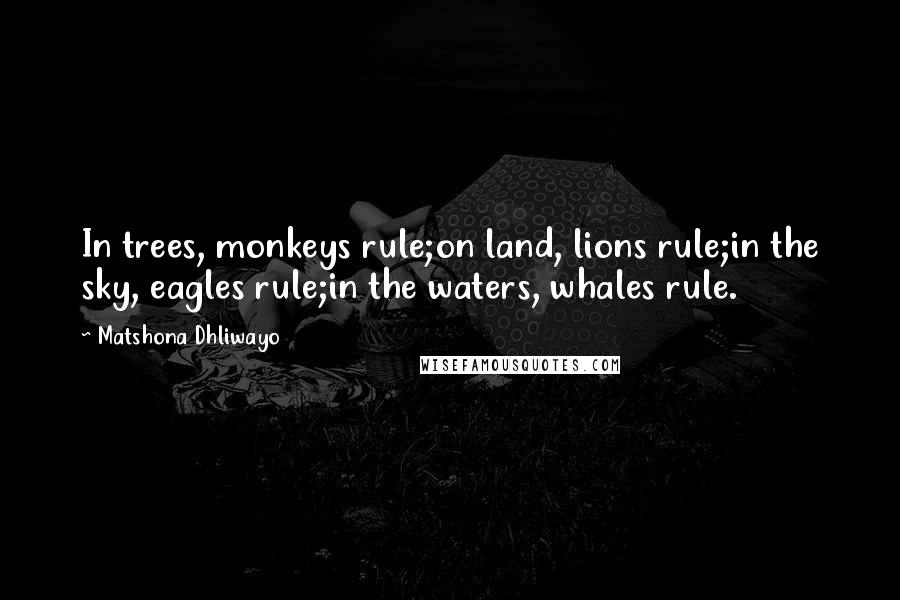 Matshona Dhliwayo Quotes: In trees, monkeys rule;on land, lions rule;in the sky, eagles rule;in the waters, whales rule.