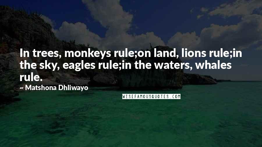 Matshona Dhliwayo Quotes: In trees, monkeys rule;on land, lions rule;in the sky, eagles rule;in the waters, whales rule.