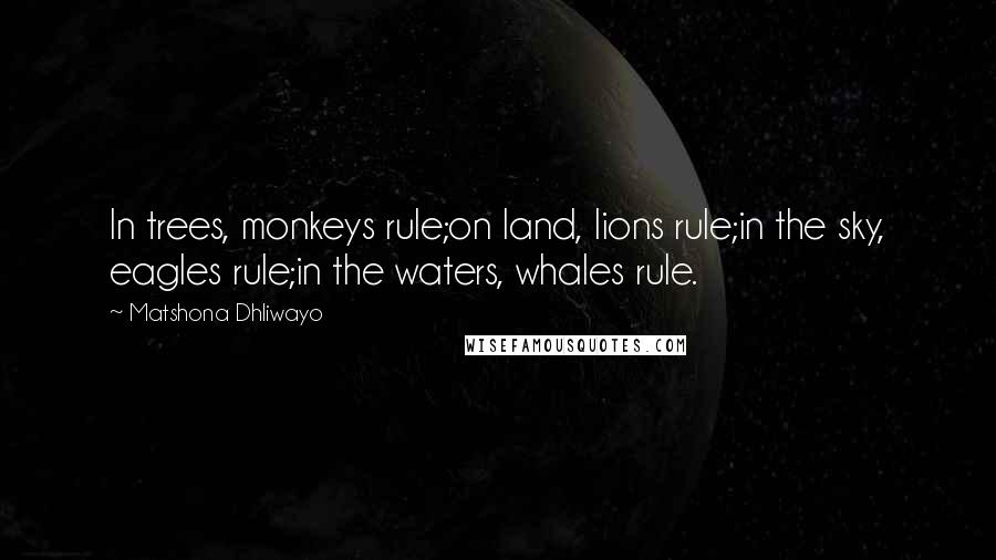 Matshona Dhliwayo Quotes: In trees, monkeys rule;on land, lions rule;in the sky, eagles rule;in the waters, whales rule.