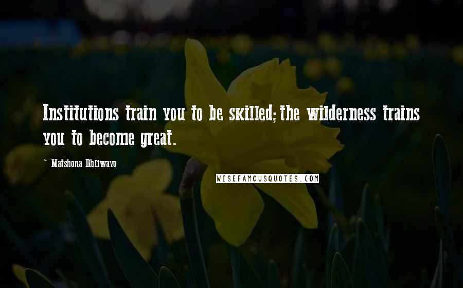 Matshona Dhliwayo Quotes: Institutions train you to be skilled;the wilderness trains you to become great.