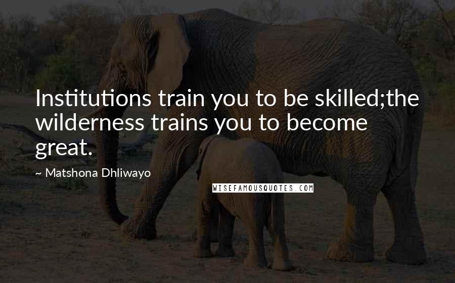 Matshona Dhliwayo Quotes: Institutions train you to be skilled;the wilderness trains you to become great.