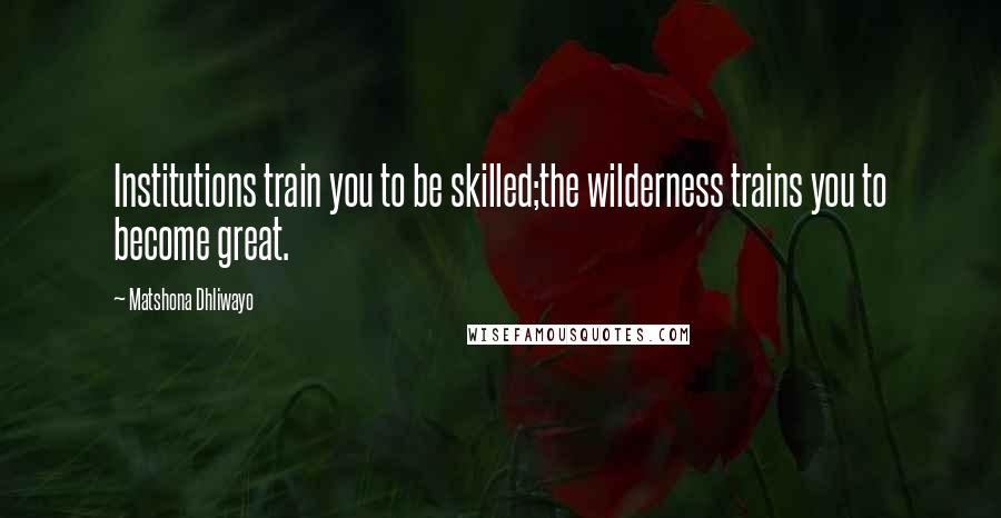 Matshona Dhliwayo Quotes: Institutions train you to be skilled;the wilderness trains you to become great.