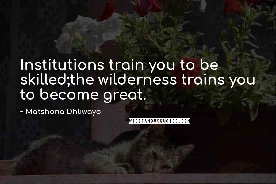 Matshona Dhliwayo Quotes: Institutions train you to be skilled;the wilderness trains you to become great.