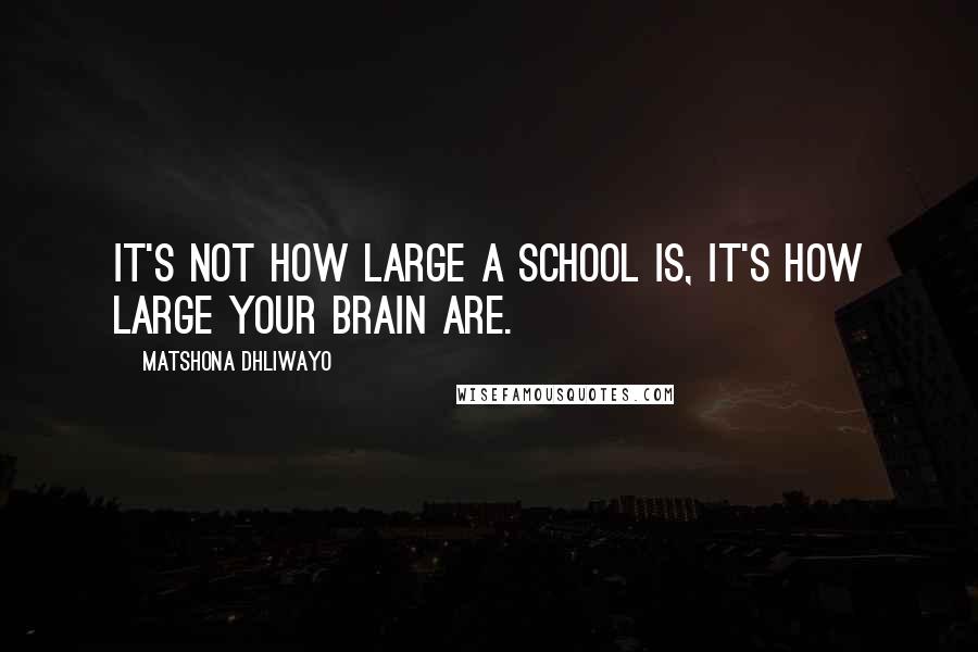 Matshona Dhliwayo Quotes: It's not how large a school is, it's how large your brain are.