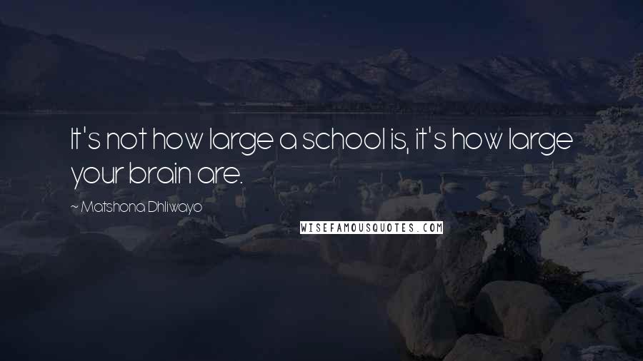 Matshona Dhliwayo Quotes: It's not how large a school is, it's how large your brain are.