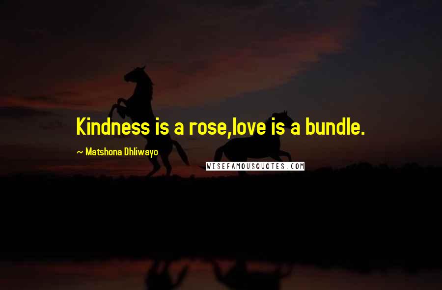 Matshona Dhliwayo Quotes: Kindness is a rose,love is a bundle.