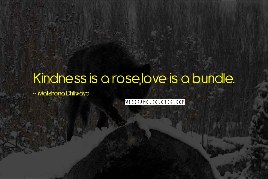 Matshona Dhliwayo Quotes: Kindness is a rose,love is a bundle.