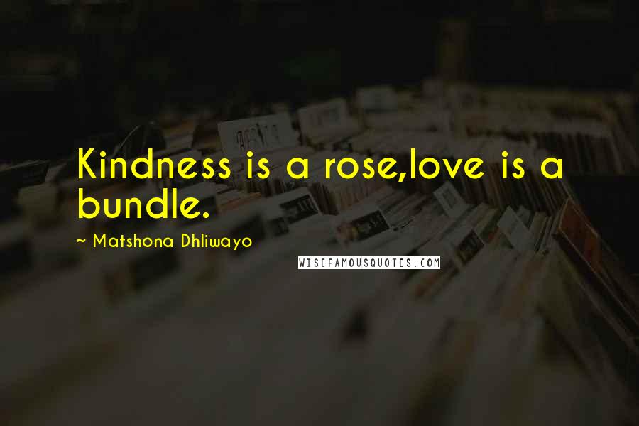 Matshona Dhliwayo Quotes: Kindness is a rose,love is a bundle.