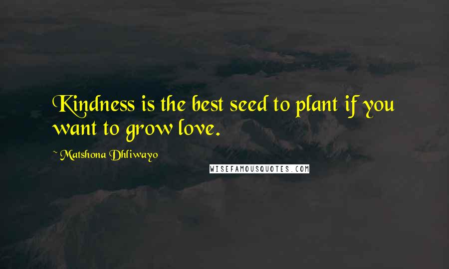 Matshona Dhliwayo Quotes: Kindness is the best seed to plant if you want to grow love.