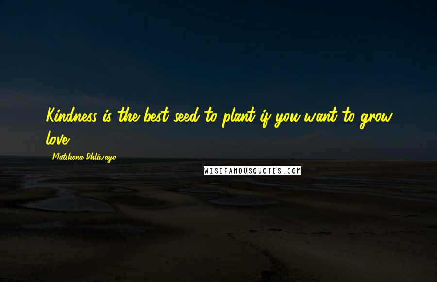 Matshona Dhliwayo Quotes: Kindness is the best seed to plant if you want to grow love.
