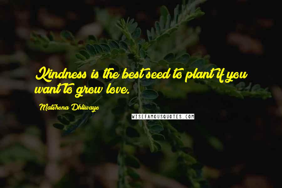 Matshona Dhliwayo Quotes: Kindness is the best seed to plant if you want to grow love.