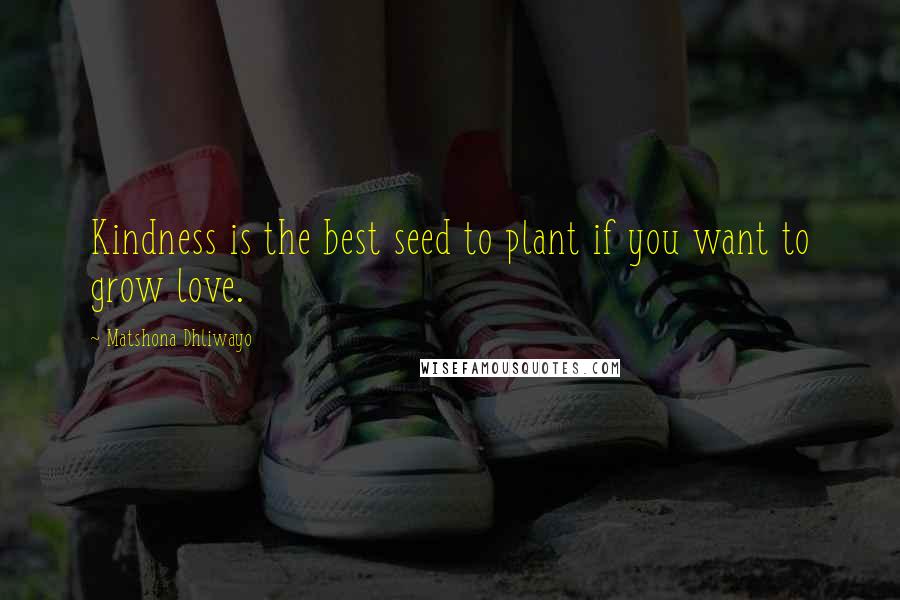 Matshona Dhliwayo Quotes: Kindness is the best seed to plant if you want to grow love.