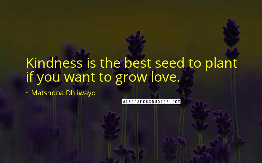 Matshona Dhliwayo Quotes: Kindness is the best seed to plant if you want to grow love.