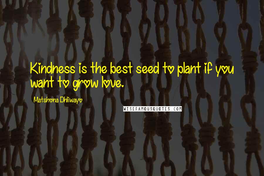 Matshona Dhliwayo Quotes: Kindness is the best seed to plant if you want to grow love.