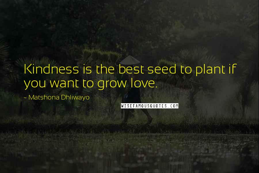 Matshona Dhliwayo Quotes: Kindness is the best seed to plant if you want to grow love.