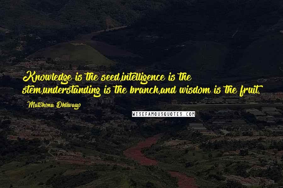 Matshona Dhliwayo Quotes: Knowledge is the seed,intelligence is the stem,understanding is the branch,and wisdom is the fruit.