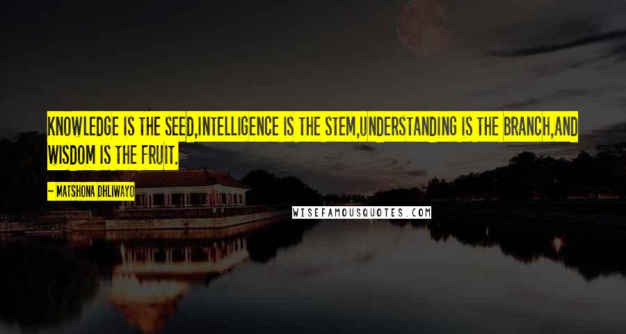 Matshona Dhliwayo Quotes: Knowledge is the seed,intelligence is the stem,understanding is the branch,and wisdom is the fruit.