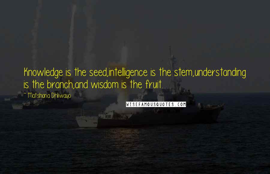 Matshona Dhliwayo Quotes: Knowledge is the seed,intelligence is the stem,understanding is the branch,and wisdom is the fruit.