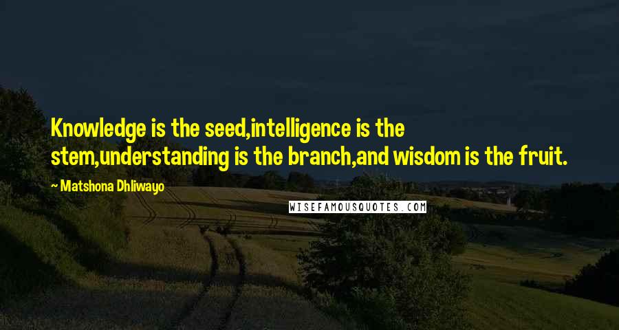 Matshona Dhliwayo Quotes: Knowledge is the seed,intelligence is the stem,understanding is the branch,and wisdom is the fruit.