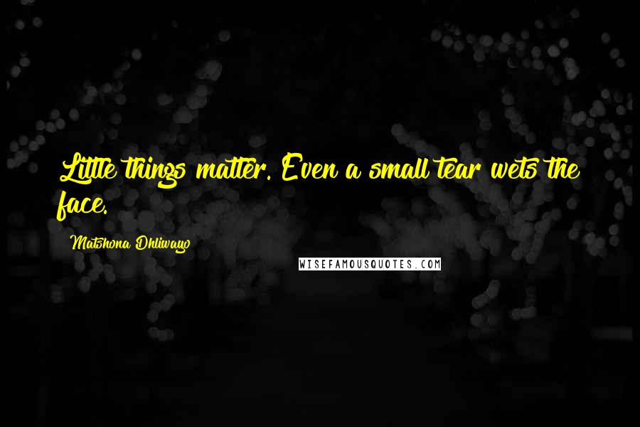 Matshona Dhliwayo Quotes: Little things matter. Even a small tear wets the face.