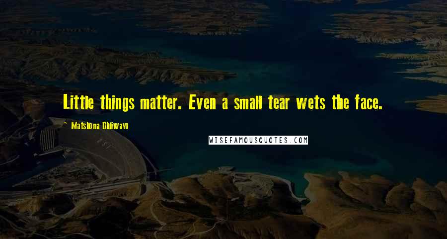 Matshona Dhliwayo Quotes: Little things matter. Even a small tear wets the face.