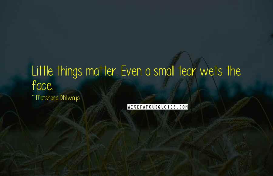 Matshona Dhliwayo Quotes: Little things matter. Even a small tear wets the face.