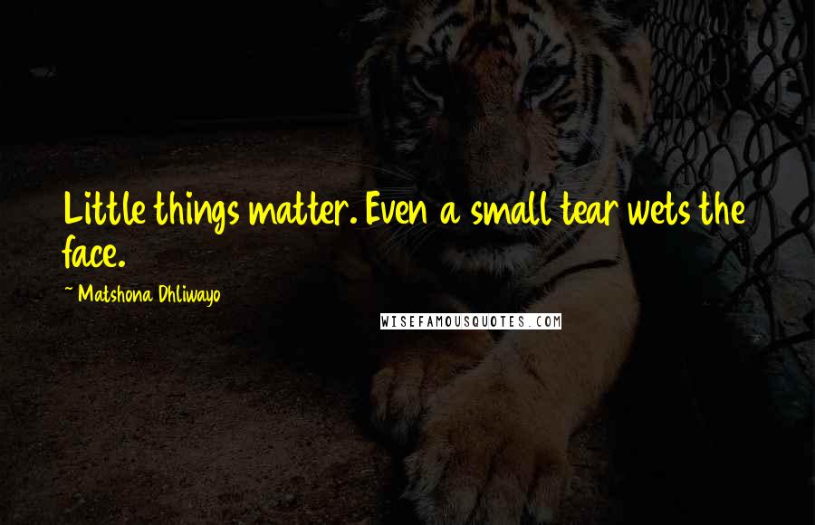 Matshona Dhliwayo Quotes: Little things matter. Even a small tear wets the face.