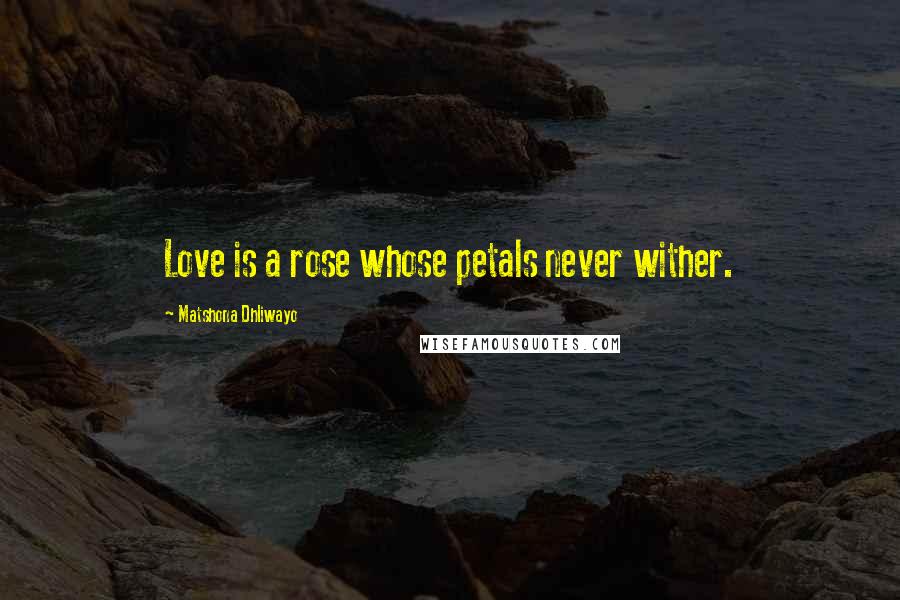 Matshona Dhliwayo Quotes: Love is a rose whose petals never wither.