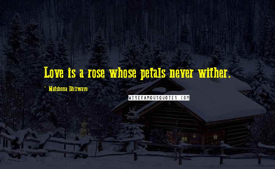 Matshona Dhliwayo Quotes: Love is a rose whose petals never wither.