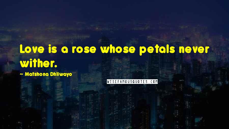 Matshona Dhliwayo Quotes: Love is a rose whose petals never wither.