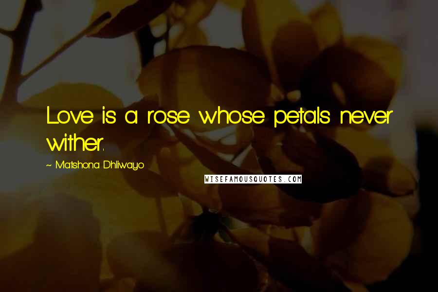 Matshona Dhliwayo Quotes: Love is a rose whose petals never wither.