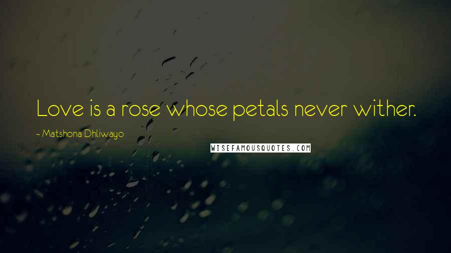 Matshona Dhliwayo Quotes: Love is a rose whose petals never wither.