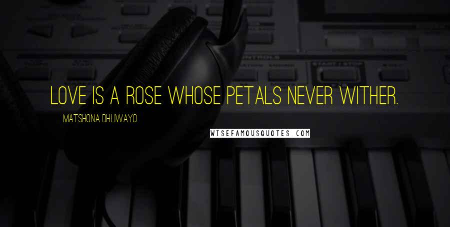 Matshona Dhliwayo Quotes: Love is a rose whose petals never wither.