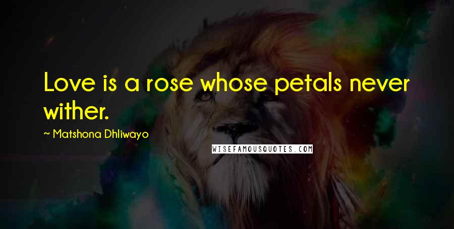 Matshona Dhliwayo Quotes: Love is a rose whose petals never wither.