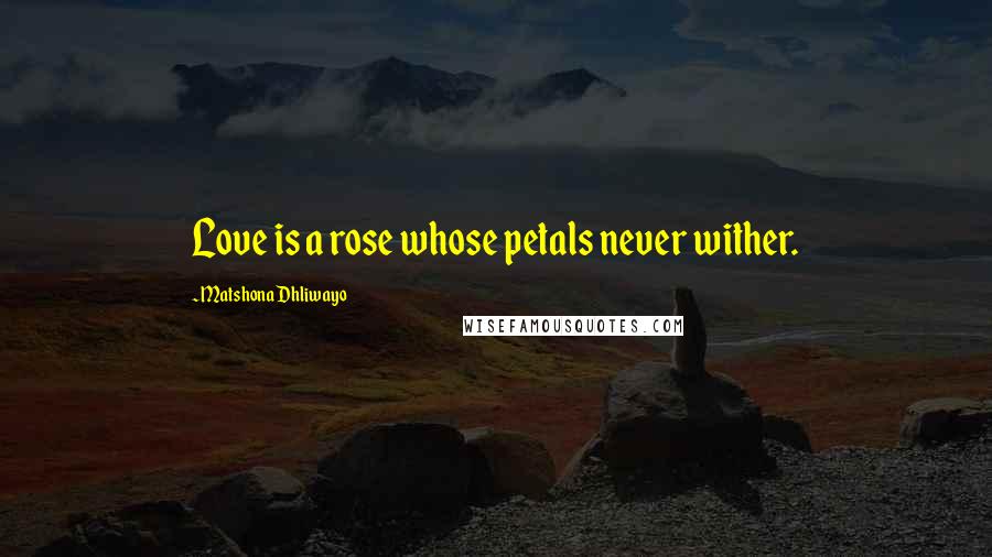 Matshona Dhliwayo Quotes: Love is a rose whose petals never wither.