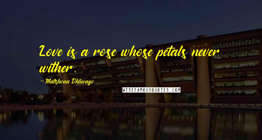 Matshona Dhliwayo Quotes: Love is a rose whose petals never wither.